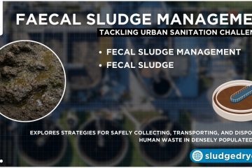 Faecal Sludge Management: Tackling Urban Sanitation Challenges